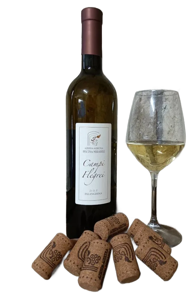 Falanghina dei Campi Flegrei DOP
