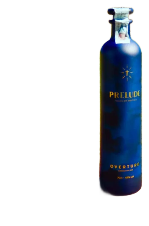 Gin