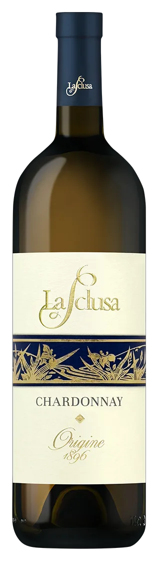 Chardonnay