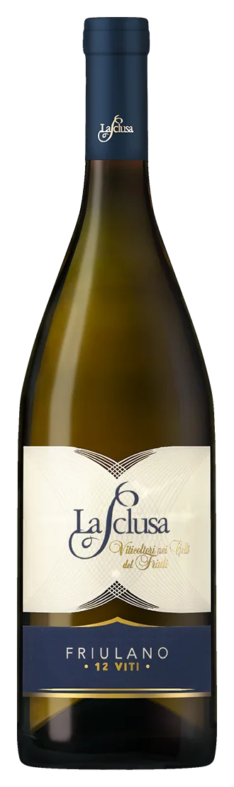 Friulano 12 Viti
