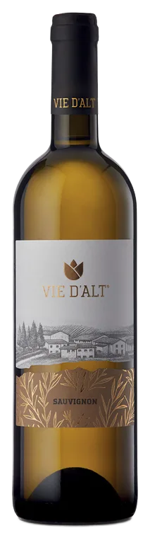 SAUVIGNON