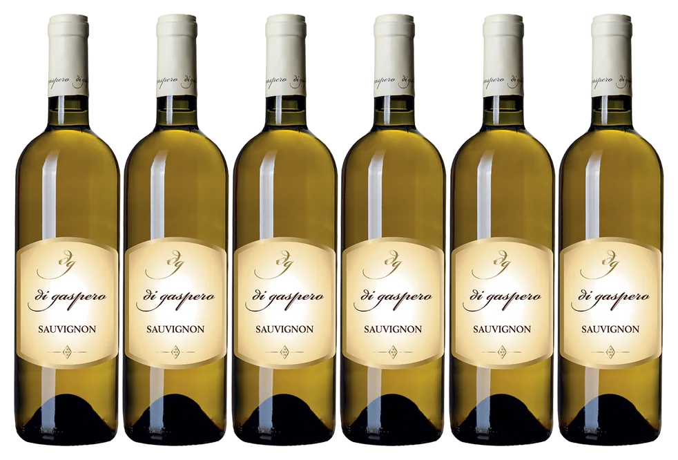 Sauvignon IGP
