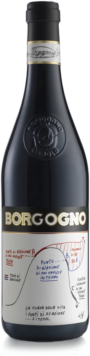 Barolo DOCG Le Teorie