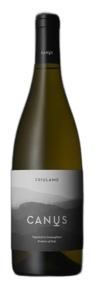 FRIULANO