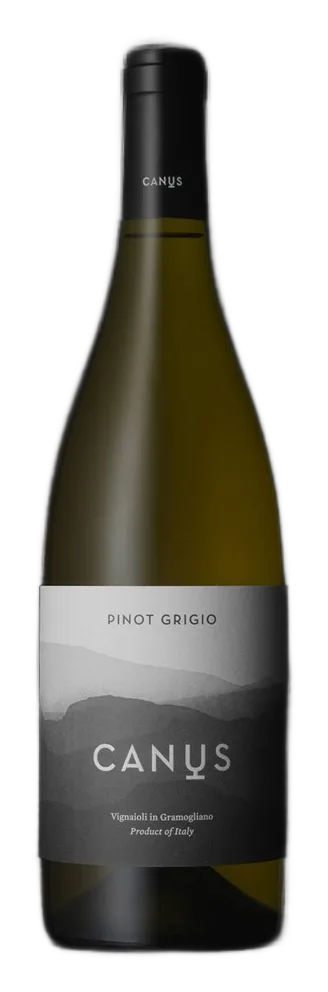 PINOT GRIGIO