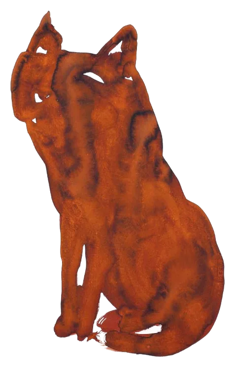 GATTOROSSO