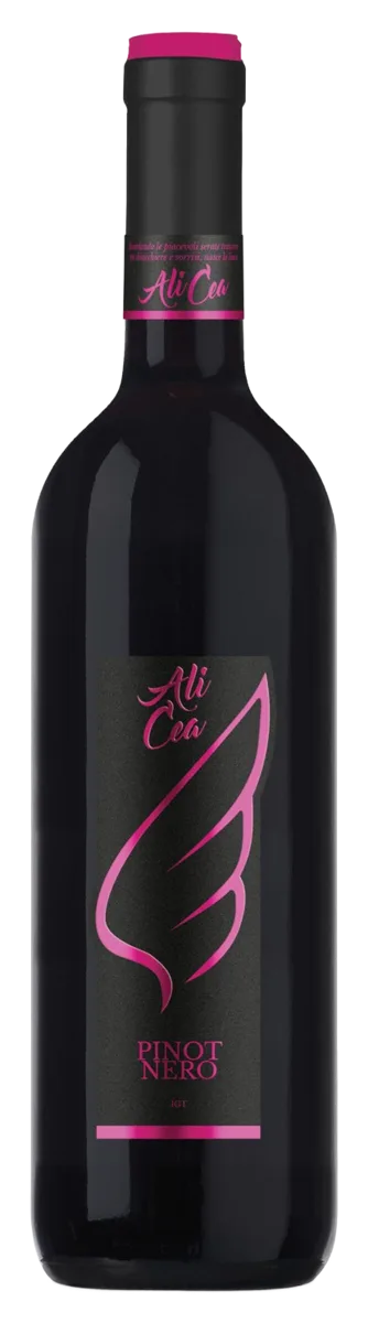 PINOT NERO IGT