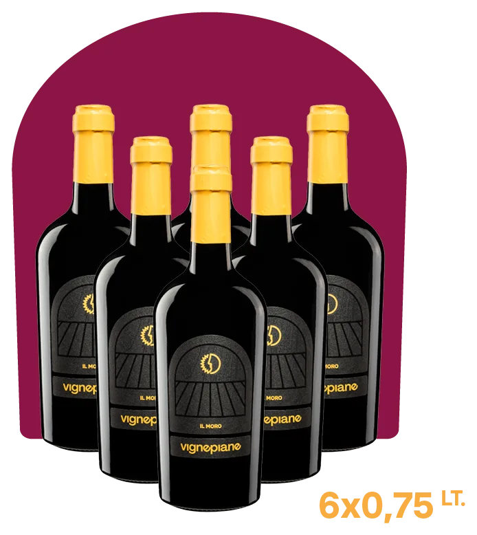 Il Moro – Cabernet Sauvignon affinato in botte Igt Veneto