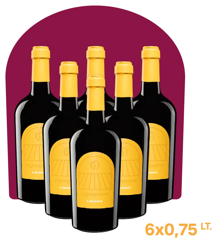 Il Selvaggio – Cabernet Sauvignon Igt Veneto