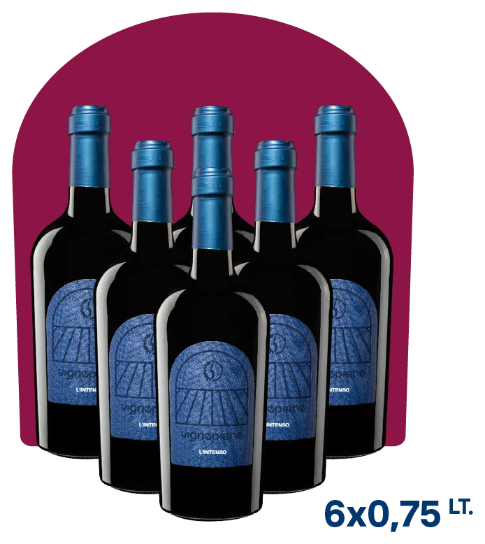 L’Intenso – Merlot Igt Veneto