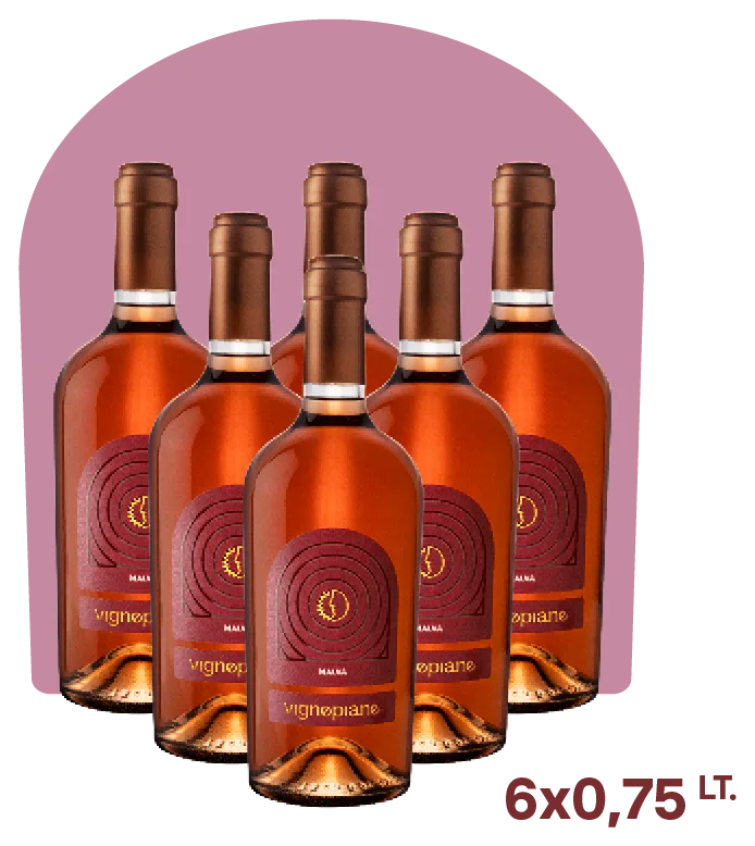 Malva – Rosato di Raboso Frizzante Igt Veneto