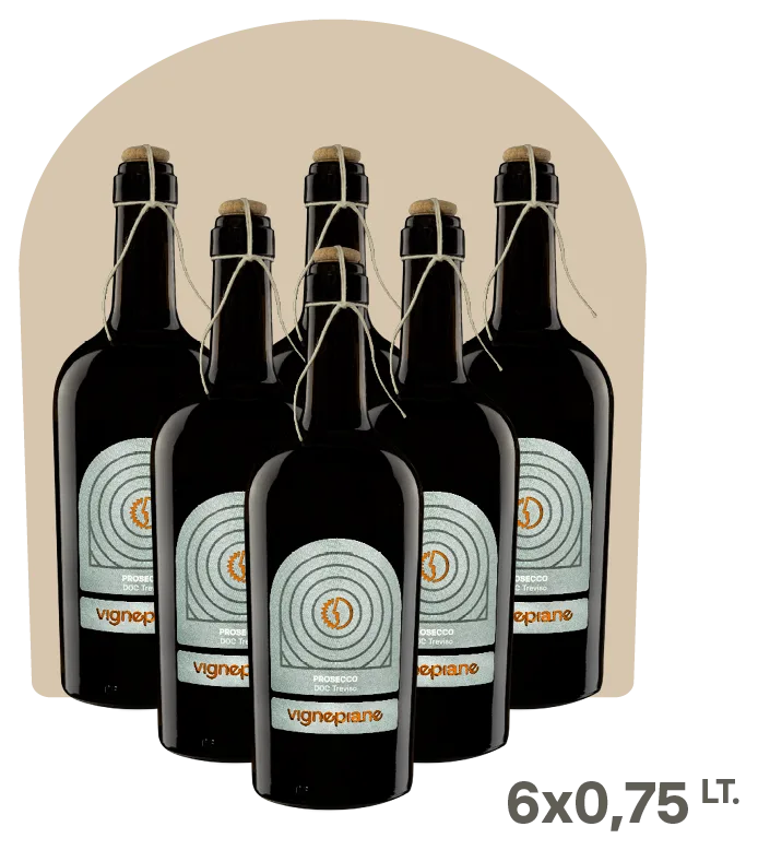 Prosecco Frizzante DOC Treviso legatura spago