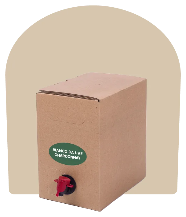 Vino bianco da uve Chardonnay – Bag