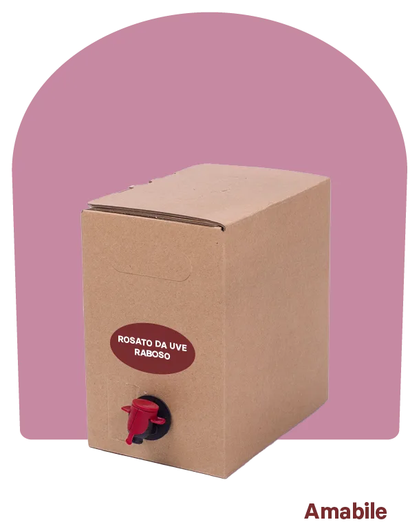 Vino rosato da uve Raboso – Bag