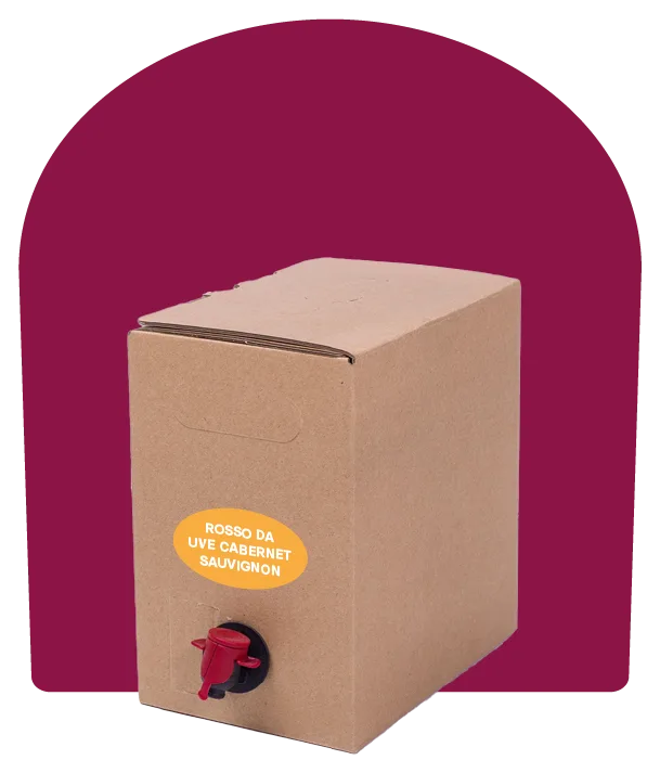 Vino rosso da uve Cabernet Sauvignon – Bag