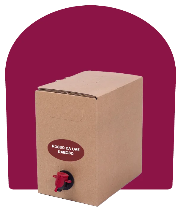 Vino rosso da uve Raboso – Bag