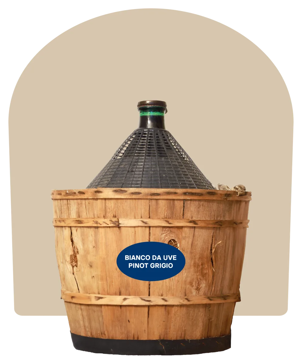 Vino bianco da uve Pinot Grigio – Damigiana
