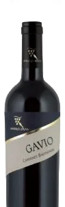 Gavio – Igt Cab. Sauvignon Terre degli Osci