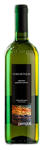 Coda di Volpe