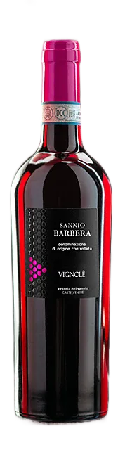 Barbera DOC