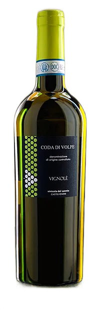Coda di Volpe