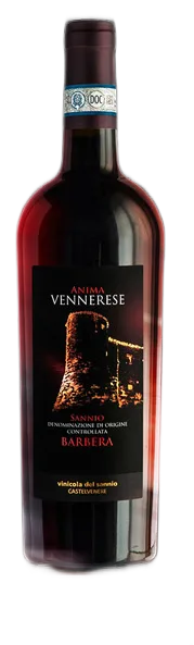 Barbera