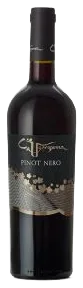Pinot Nero Igt Trevenezie - Ca' Venzona