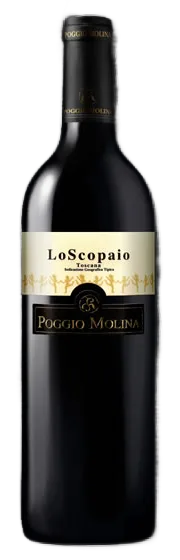 Lo Scopaio