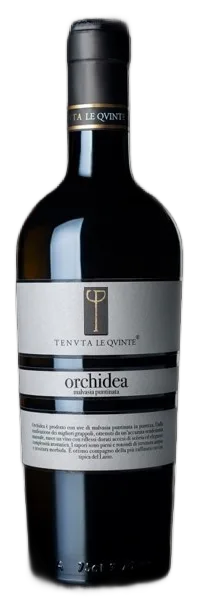 ORCHIDEA