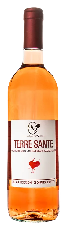 Terre Sante