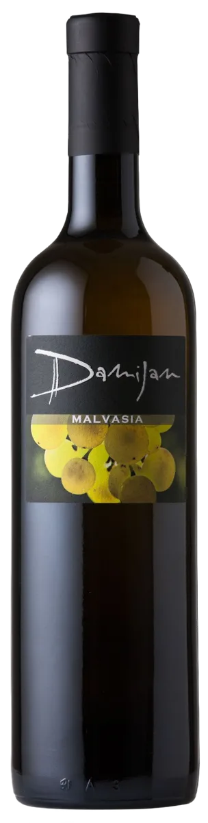 Malvasia