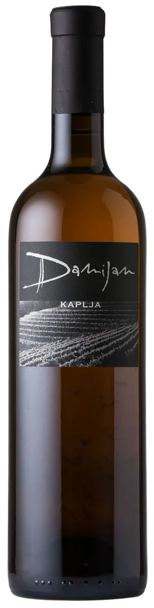 Kaplja