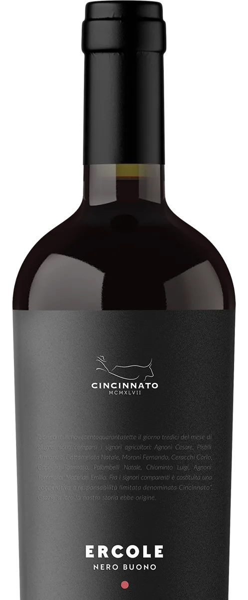 Ercole Nero Buono