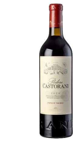 Podere Castorani Pinot Nero Colline Pescaresi IGT