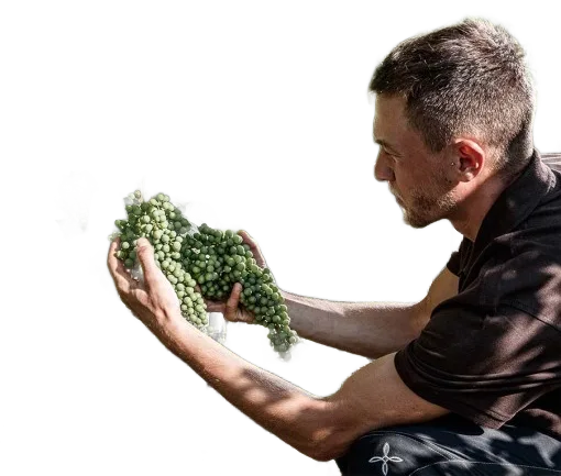 Sforzato
