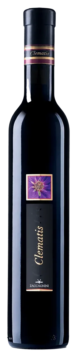 Colline Pescaresi IGT Passito Rosso