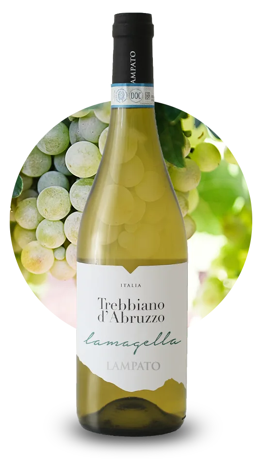 Trebbiano d’Abruzzo DOC/DOP
