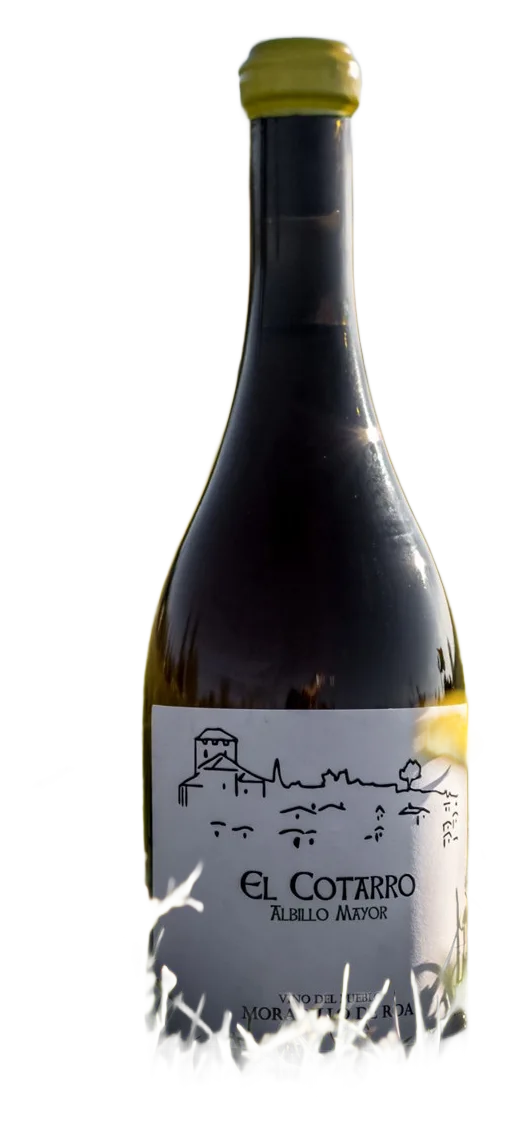 El Cotarro Albillo Mayor