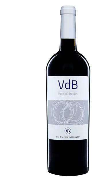 Valle del Botijas Tinto Crianza Selección Especial