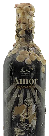 Amor Imposible