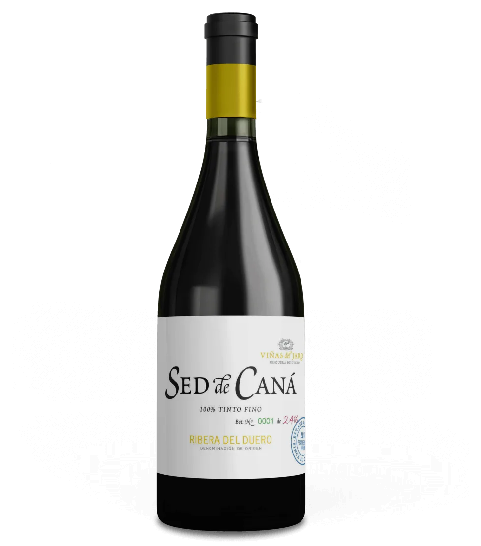 Sed de Caná
