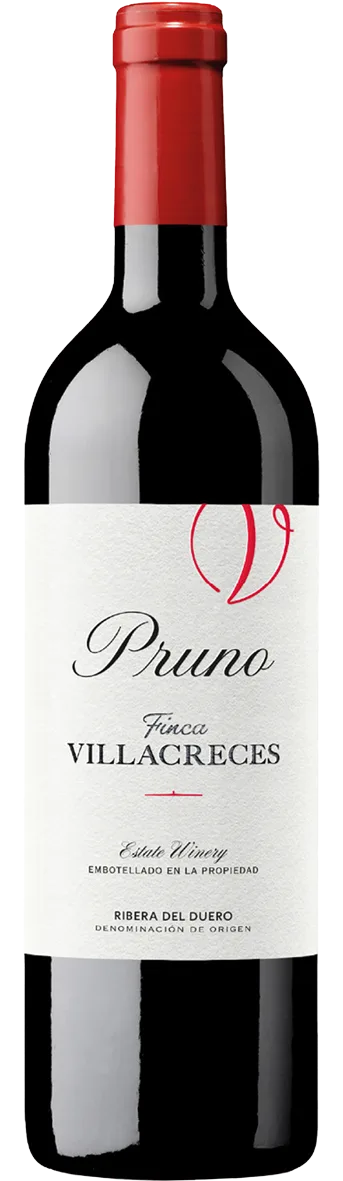 Pruno