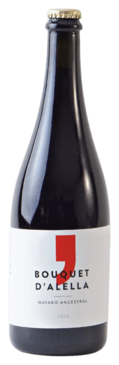 Mataró Ancestral