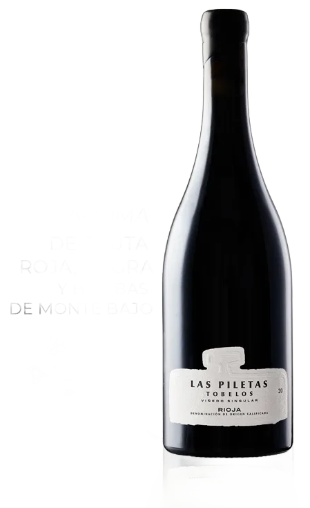 Las Piletas