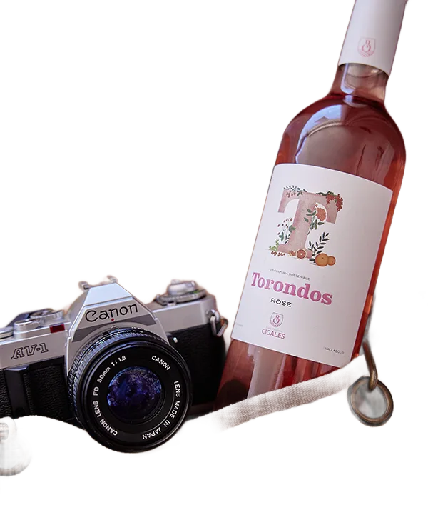 Torondos Rosé