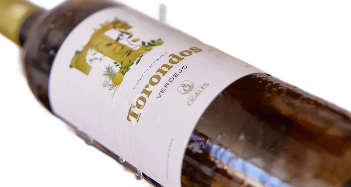 Torondos Verdejo