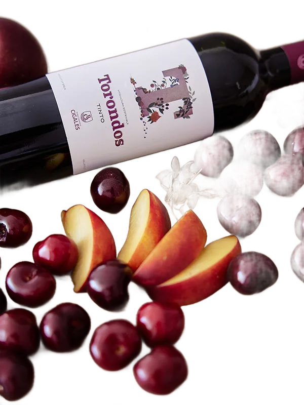 Torondos Tinto Joven