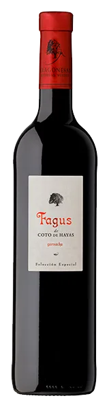 Fagus