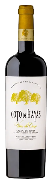 Coto de Hayas Viñas del Cierzo