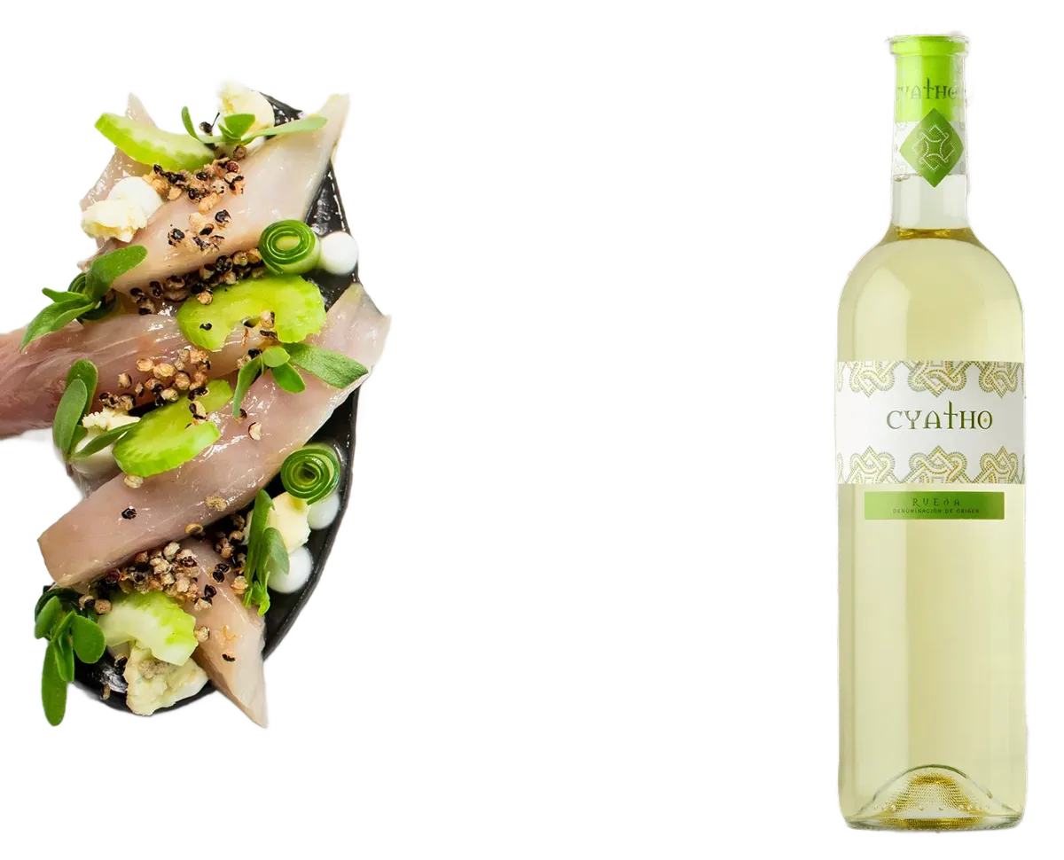 Cyatho Verdejo